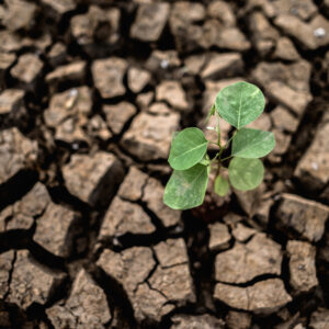 Climate Related Financial Risk Directive, November 2024
